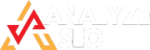 ANALYZE SEO